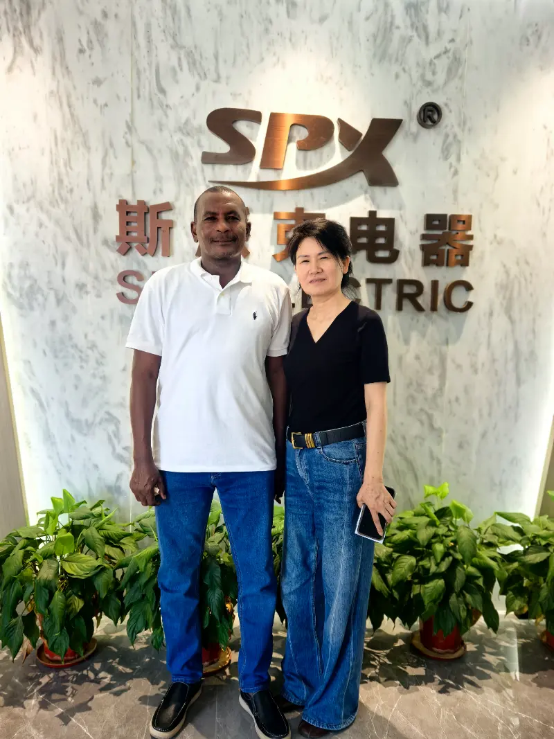 海外顧客がSPX ELECTRIC工場のMCCB、ACコンタクタ、VFD製造を検査