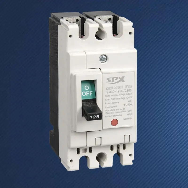 2P 125A 配線用遮断器